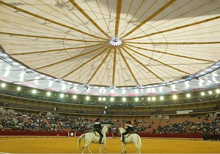 «Si llegan recursos al concurso de la Misericordia, se tratarán jurídicamente y se resolverán»