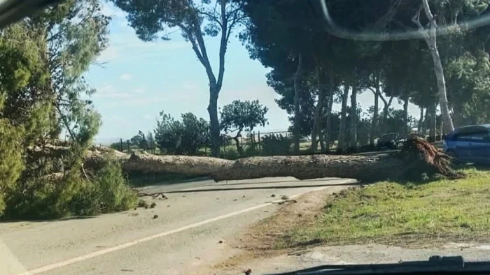 FUERTE TEMPORAL AZOTA LA REGIÓN DE MURCIA: MÁS DE 200 INCIDENTES