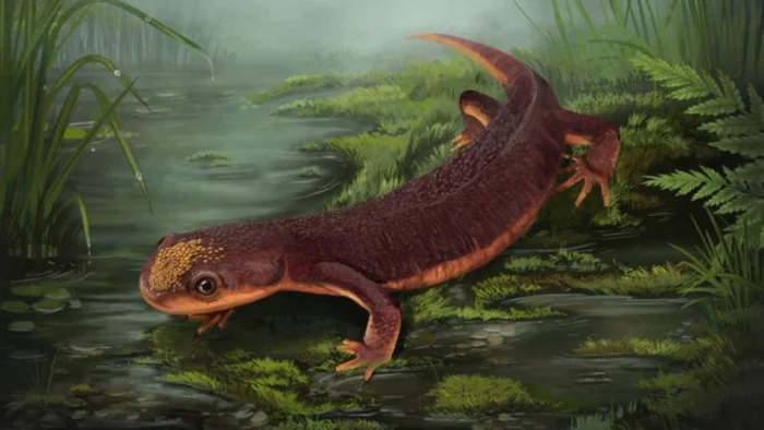 Fósiles de 150 millones de años revelan una nueva especie de un enigmático anfibio del Jurásico