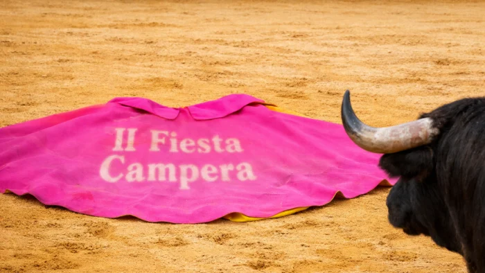 Manuel Escribano y Luis Montero unen sus capotes por los mayores en una gran fiesta solidaria