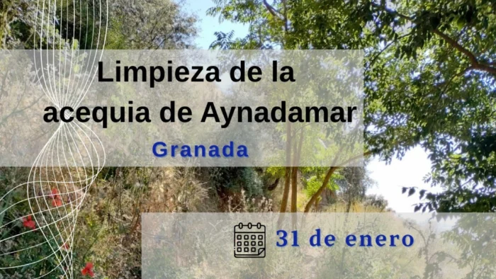 Limpieza de la histórica acequia de Aynadamar en Granada