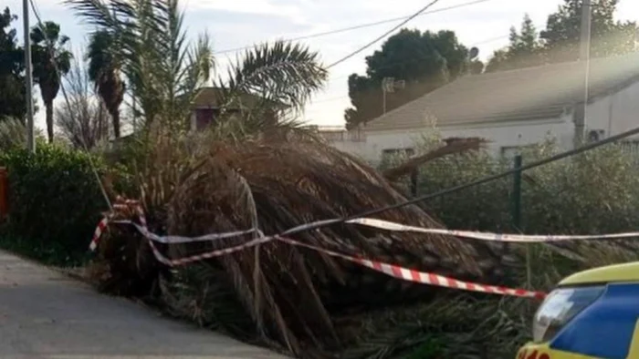 FUERTE VIENTO PROVOCA INCIDENCIAS EN LORCA, PERO SIN DAÑOS PERSONALES