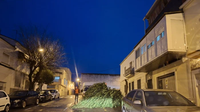 FUERTE TEMPORAL AZOTA MÉRIDA: ÁRBOL CAYÓ EN LA CALLE CALDERÓN DE LA BARCA