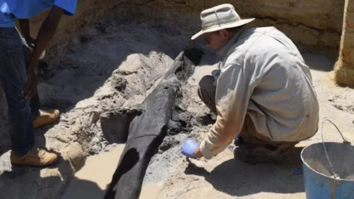 Nuevos hallazgos en África desafían la cronología de la construcción humana