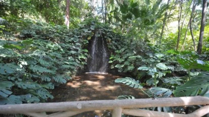 CIERRE TEMPORAL DE PARQUES EN MÁLAGA POR FUERTES VIENTOS