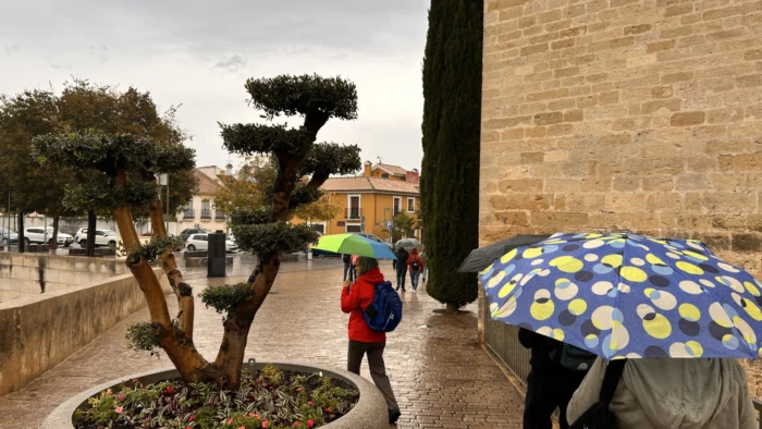Córdoba en alerta por fuertes vientos tras las intensas lluvias