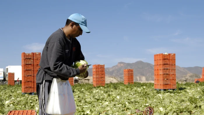 NUEVA REGULARIZACIÓN EXTRAORDINARIA DE MIGRANTES EN ESPAÑA: ALCANCE Y REACCIONES