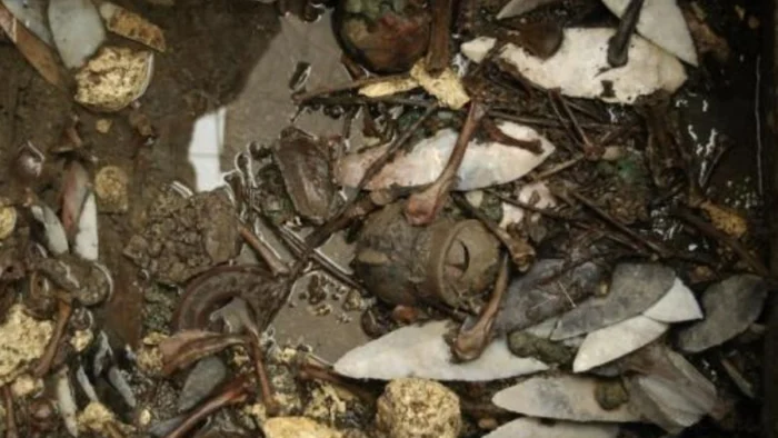 Los restos hallados junto al Huei Teocalli confirman que el zool&oacute;gico de Moctezuma existi&oacute; de verdad