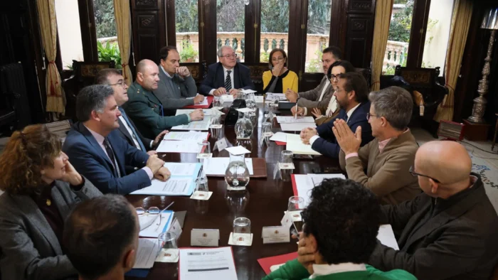 Balance de Siniestralidad Vial en Granada: Menos Accidentes, pero Persisten Comportamientos de Riesgo