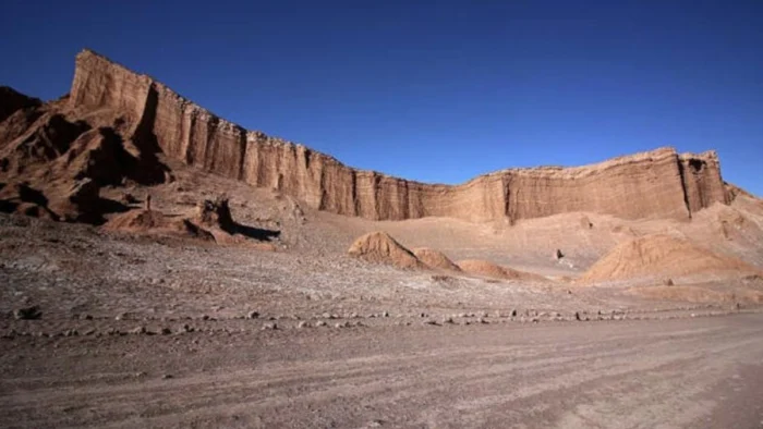 Las momias prehist&oacute;ricas de Atacama guardan un detalle anat&oacute;mico fuera de lo com&uacute;n: as&iacute; se explica la reducci&oacute;n del cerebro tras miles de a&ntilde;os en el desierto