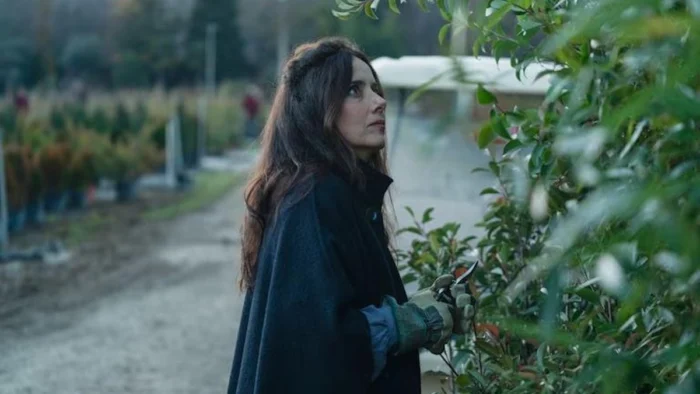 Éxito y Fracasos: Las Series Españolas Más Vistas en Netflix en 2025