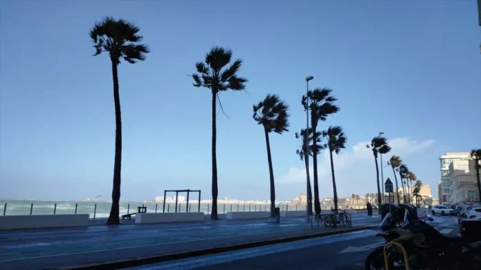 ¡Adiós Borrascas! Cádiz Disfrutará de un Carnaval con Tiempo Estable