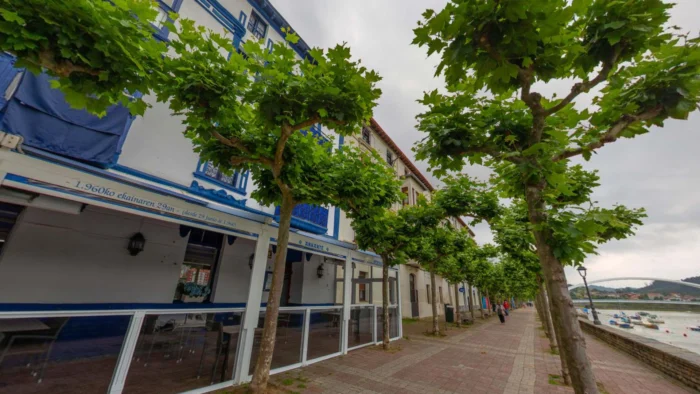 Crisis en el remo vasco: ¿peligra el futuro de las traineras?