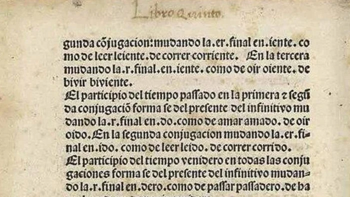 De Alejandría a la RAE: los “sorprendentes usos sociales” de las gramáticas desde hace más de 2.000 años