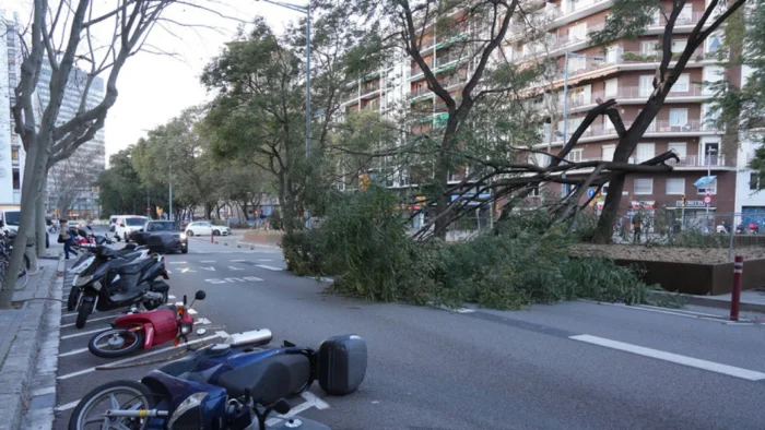 El Govern levanta la restricción a la movilidad por el viento pero mantiene la alerta y defiende su gestión