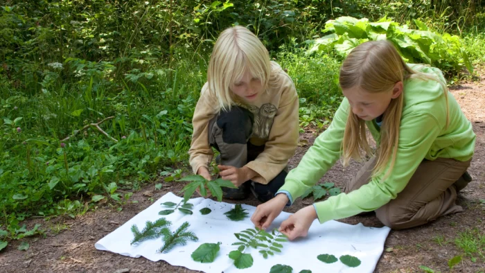 ESCUELAS BOSQUE: APRENDER EN CONTACTO CON LA NATURALEZA GANA TERRENO EN ESPAÑA