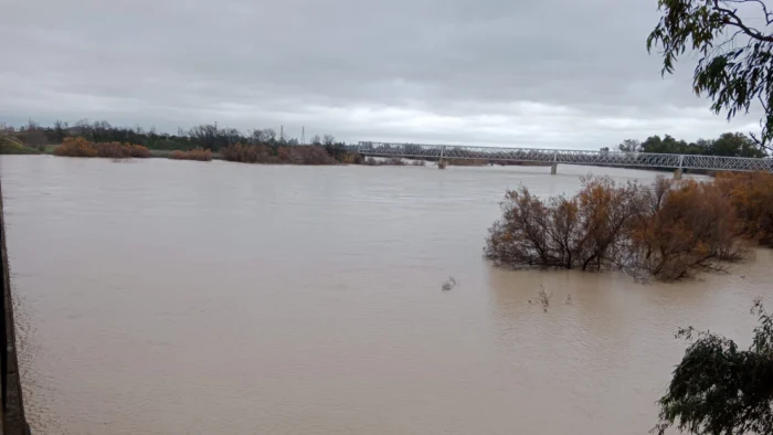 Preocupación en Lora del Río ante la crecida del Guadalquivir