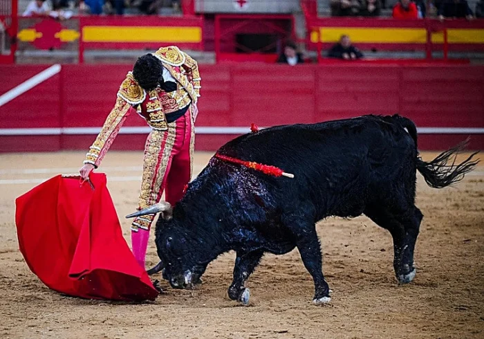 Samuel Castrejón: El Joven Torero Que Cautiva Desde Su Debut