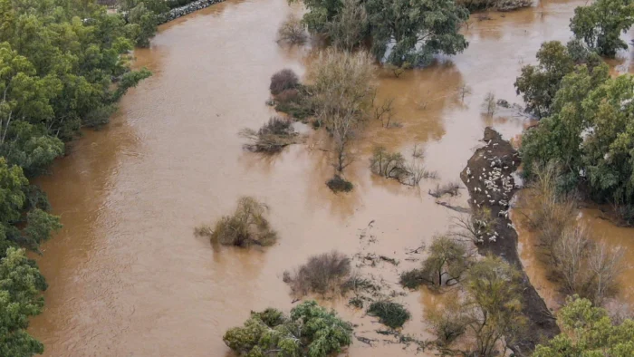 GANADERO EXTREMEÑO ALERTA SOBRE LA MUERTE DE CIENTOS DE OVEJAS ATRAPADAS POR EL AGUA