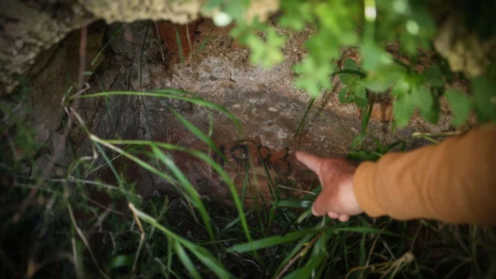 Cien piscinas más cada año: la alegría del cloro se come Ibiza