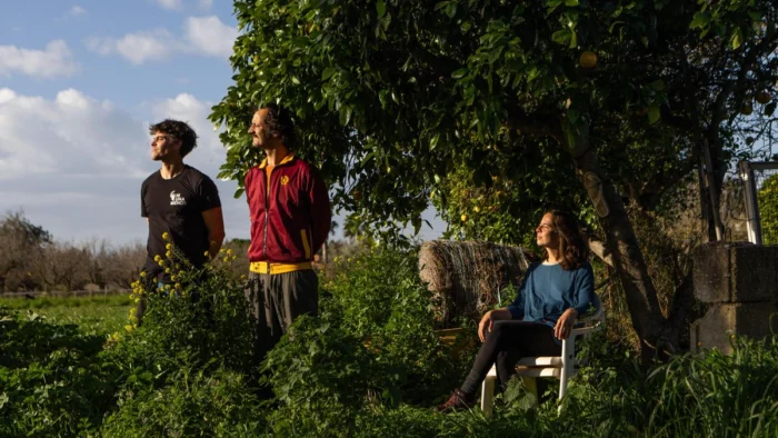 La venta de CBD en estancos enfrenta a los productores: "Más de 100 locales lo venden autorizados en Balears"