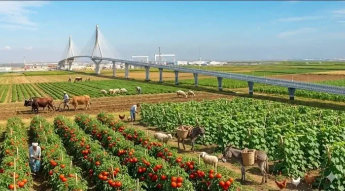 TENÍA QUE PASAR: EL "PATAZO" DE SONSOLES ÓNEGA YA ES COPLA EN EL CARNAVAL DE CÁDIZ