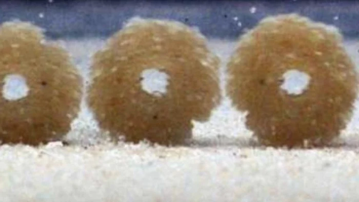 ¿Cómo puede una sola gota de lluvia mover diez veces más tierra que el viento o los ríos? La respuesta está en unos “donuts” de arena