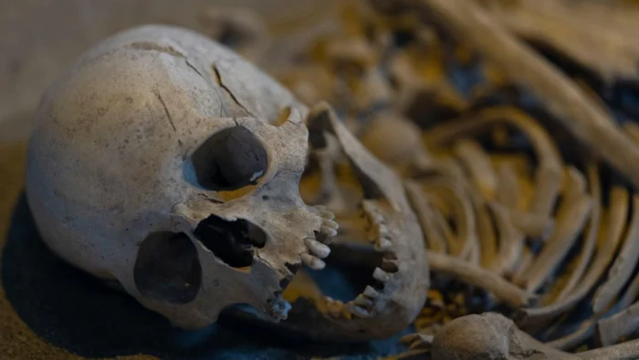 ¿Cuándo comenzamos a diferenciar a hombres y mujeres en los enterramientos prehistóricos?