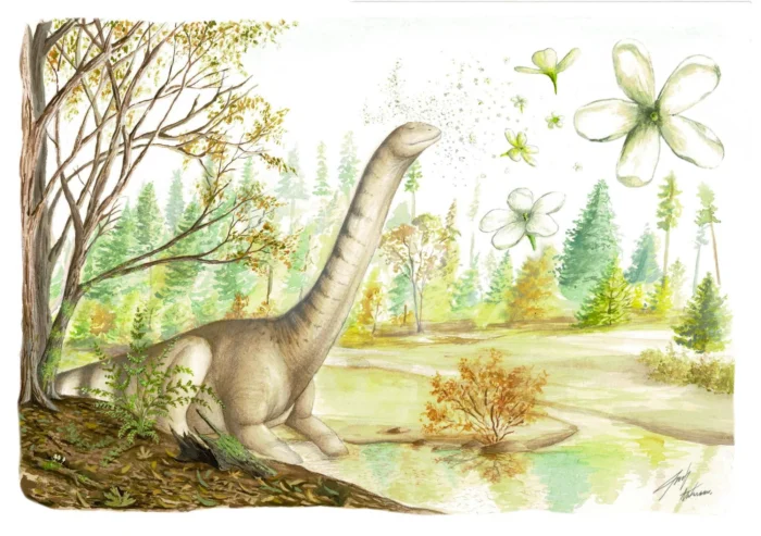 La diminuta flor fósil de 101 millones de años que conecta la Patagonia y Teruel