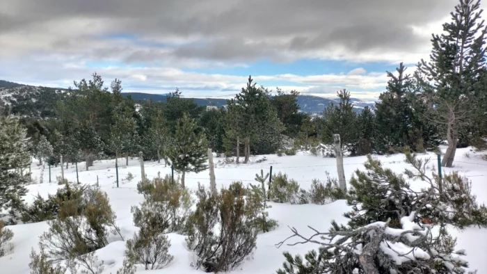 La Rioja experimenta un inusual ascenso de temperaturas en pleno febrero