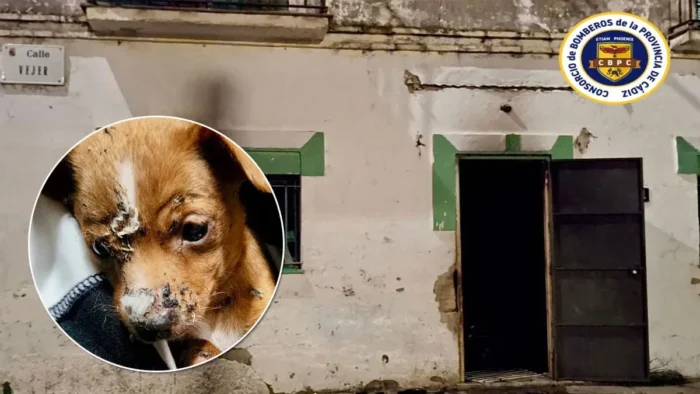 Incendio en Puerto Real: Un perro fallecido y varios heridos tras el fuego en una vivienda