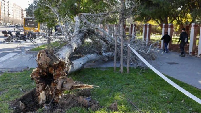 El 112 emite un aviso especial: la Comunitat Valenciana se prepara para días críticos de viento extremo