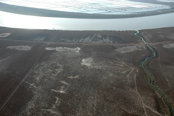 El misterio de la Montaña del Río de Doñana que ha desatado una peregrina batalla científica: ¿es natural o artificial?