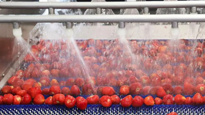 NUEVO TITULO: IES San Juan Bosco de Lorca Recibe Premio por Innovador Proyecto Agrícola