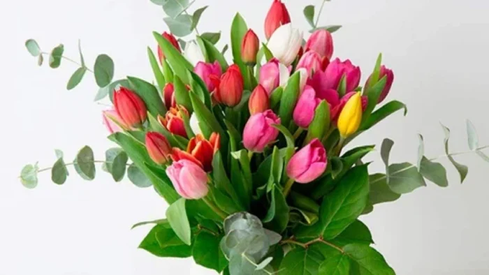 El floreciente mercado de las flores: un análisis profundo de las tendencias actuales