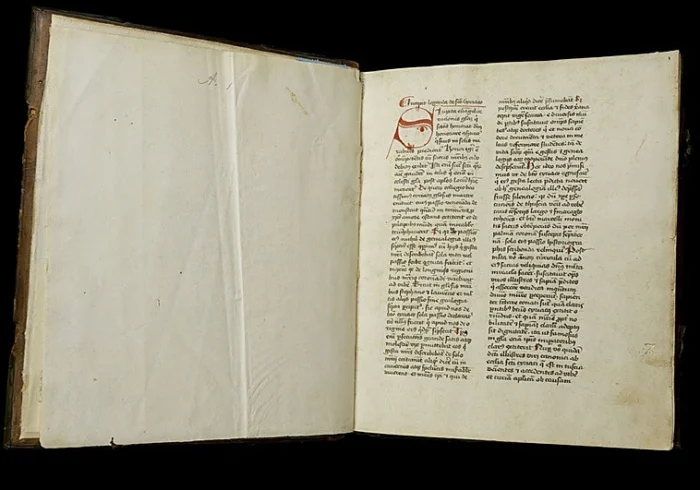 RESCATADO DEL OLVIDO: UN MANUSCRITO DEL SIGLO XVI REGRESA A LA BIBLIOTECA VATICANA