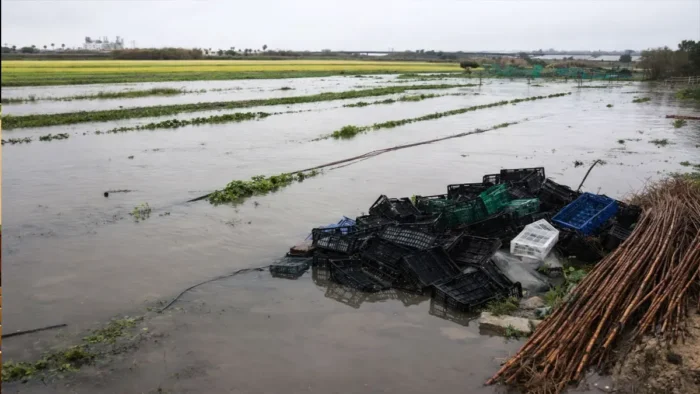 Jerez evalúa los daños tras las inundaciones provocadas por el desbordamiento del Guadalete