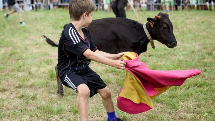 La Ley de Fomento Taurino en Euskadi: Un Debate Encendido