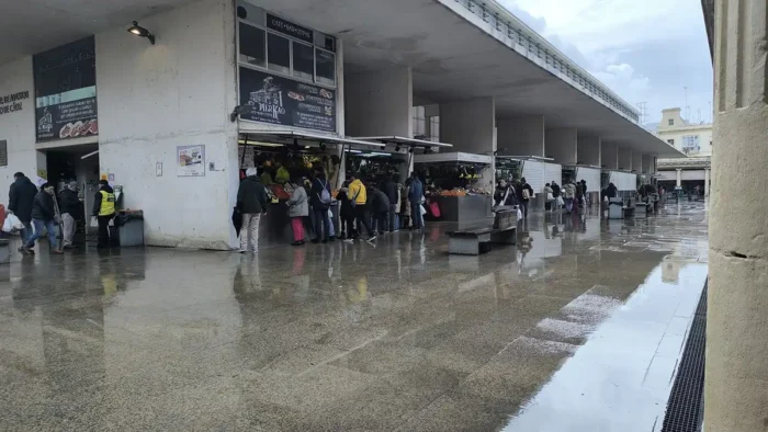 Tregua Meteorológica en Cádiz con la Mirada Puesta en el Carnaval