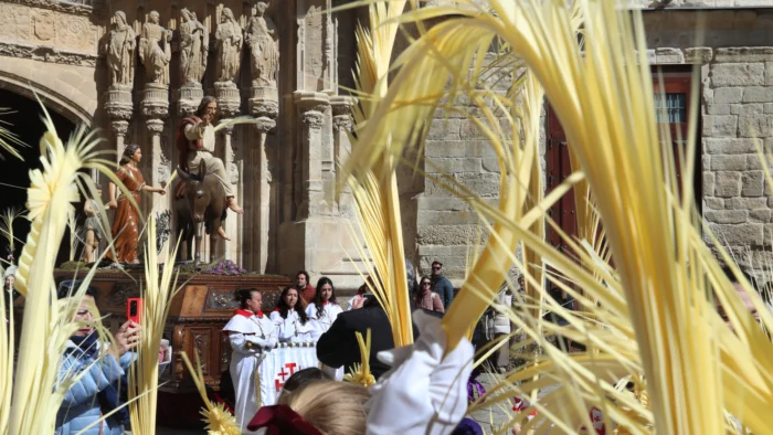 Regreso Triunfal de la Borriquilla en Palencia: La Semana Santa se Ilumina con la Alegría Infantil