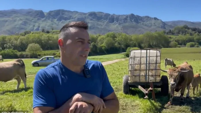 El Futuro Incierto de los Quesos Asturianos: ¿Un Cambio Radical en la Producción?