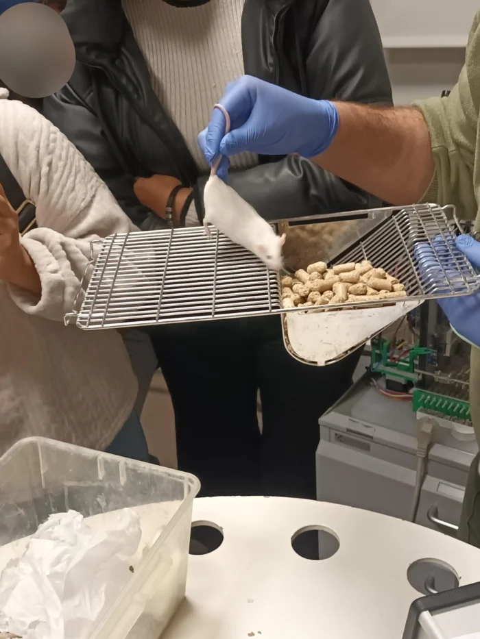 Dentro de la XXV Semana de la Ciencia