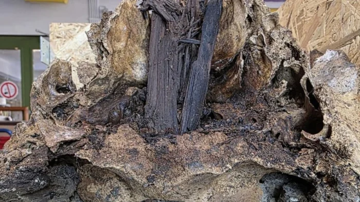 Hace 10.500 a&ntilde;os alguien levant&oacute; un poste con un cr&aacute;neo de uro y dej&oacute; una pista sobre las primeras creencias en esp&iacute;ritus de la naturaleza