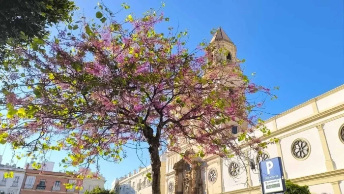 El tiempo en Cádiz: Sol y temperaturas suaves con ligera inestabilidad al inicio de Semana Santa