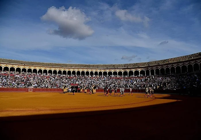 Aumento Significativo de Abonados en la Real Maestranza de Sevilla