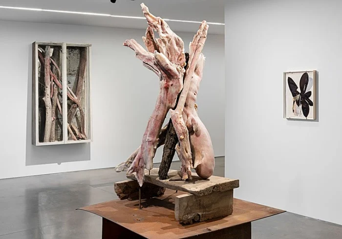 El Dolor y la Metamorfosis en la Obra de Berlinde De Bruyckere