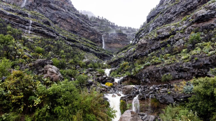 Lluvias en Canarias: Un Paisaje Verde con Riesgos Ocultos