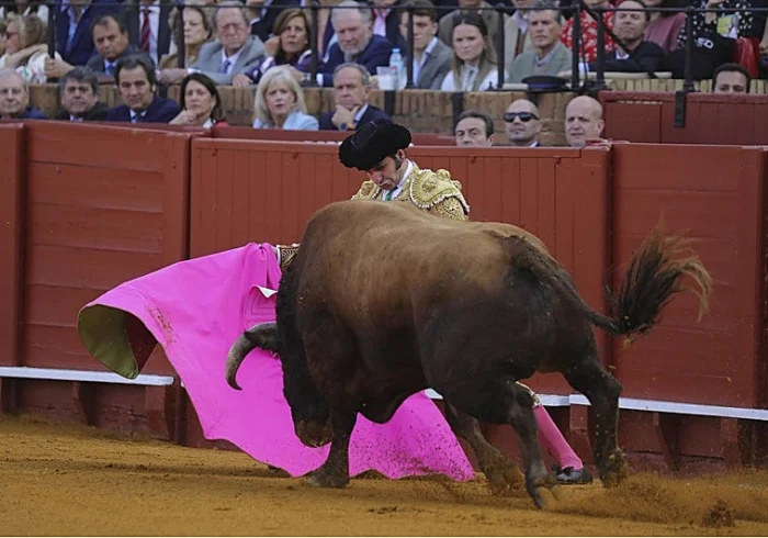 Morante de la Puebla hará el paseíllo las cuatro tardes de toros en El Puerto de Santa María