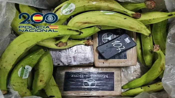 Golpe al Narcotráfico en Algeciras: Desarticulada Red con Acceso al Puerto