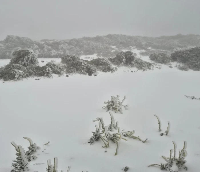 El invierno se despide de La Palma con un grueso manto de nieve y 5 grados bajo cero